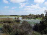 Camargue Parc naturel 2