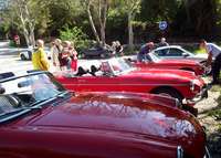 Cliquez pour voir en plus grand svp - Photos : R. Bardelot - tous droits réservés MGCF