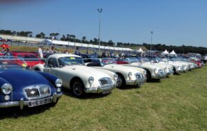 mga01 2