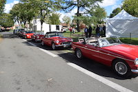 1 le parc imagette